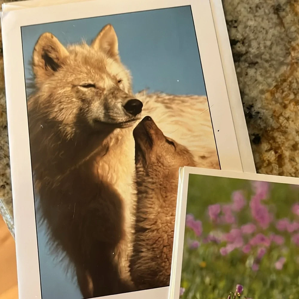 Wolf Themed Greeting Cards Set